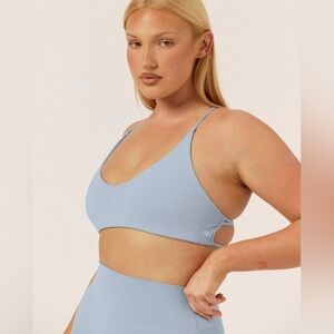 CSB FORM HAILEY CROP